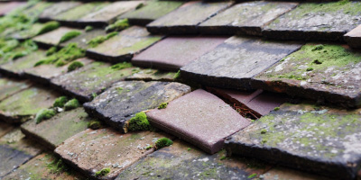Wentnor roof repair costs